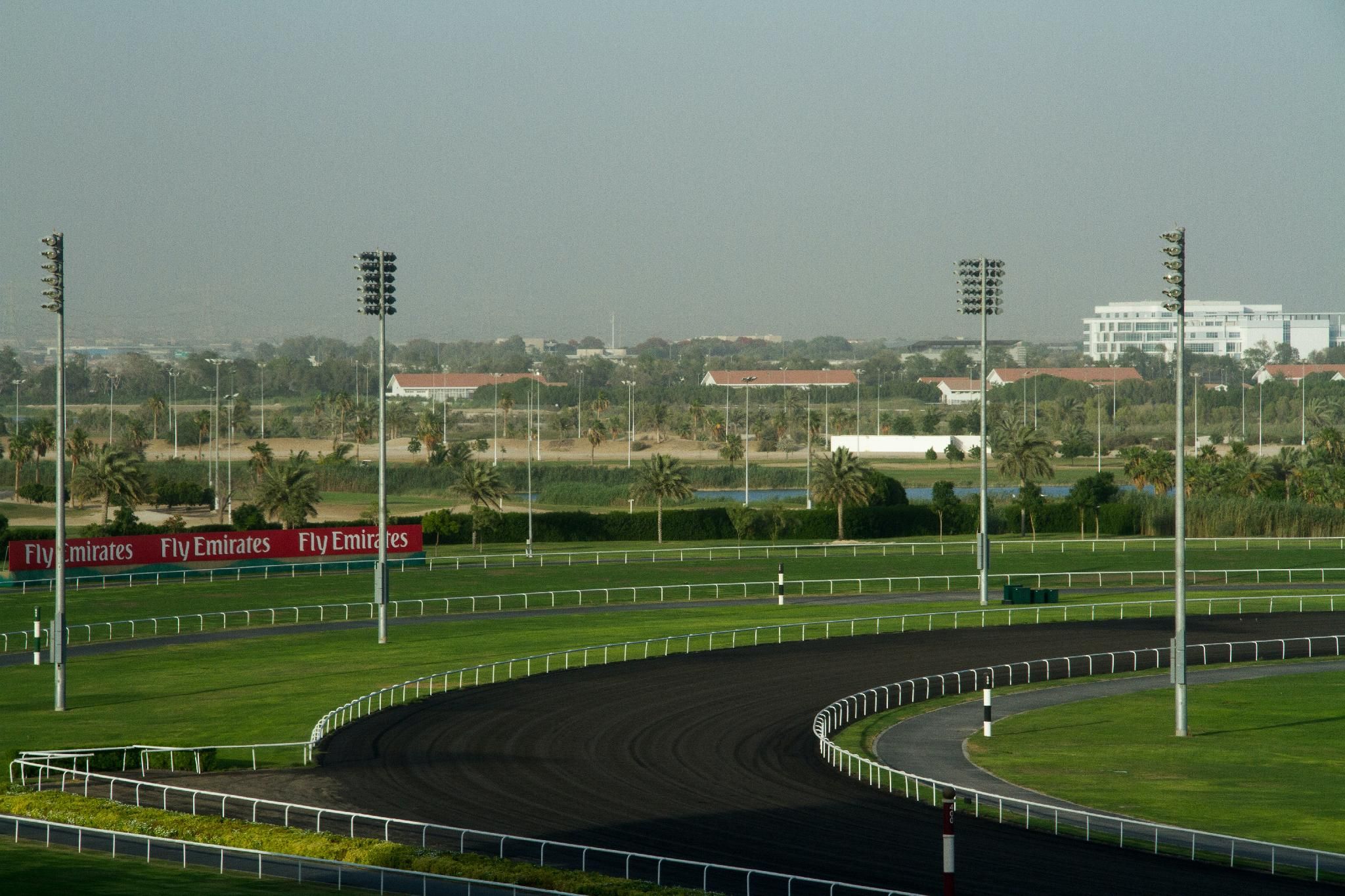 Dubai Apartment in Meydan
