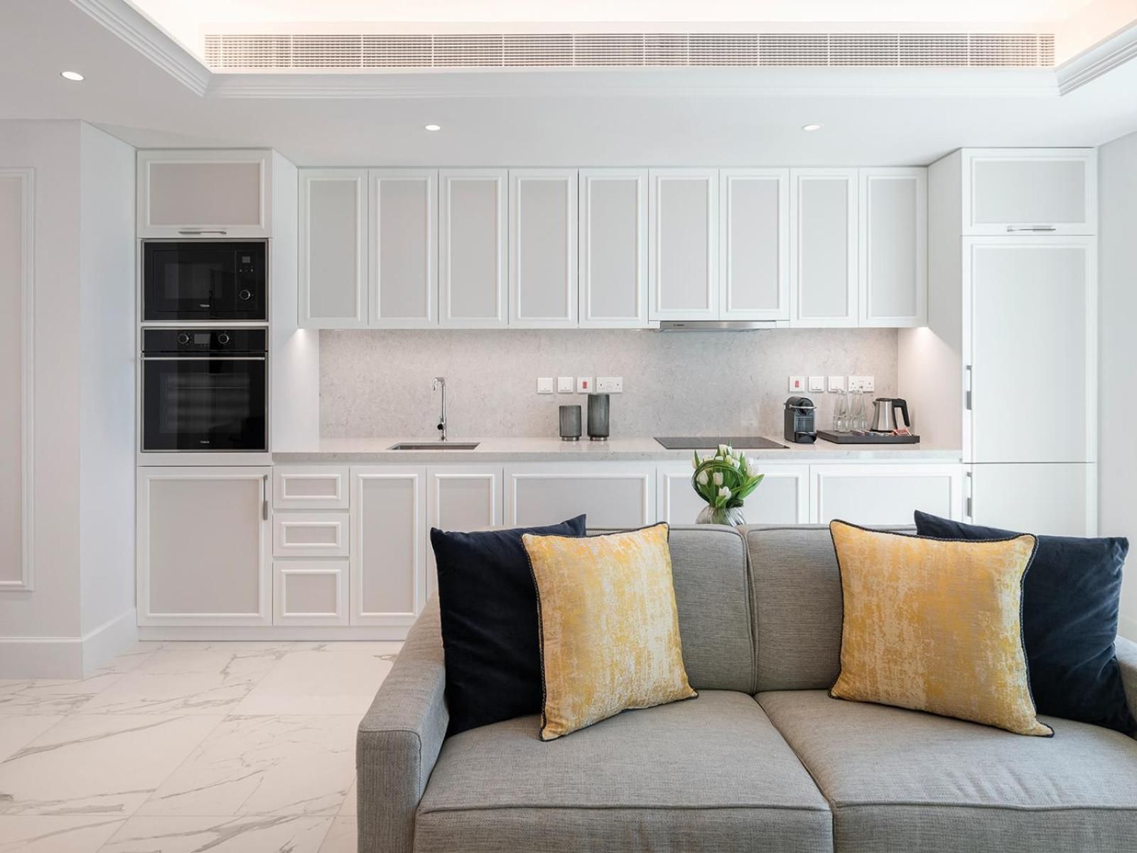 Luxury One Bedroom Apartment