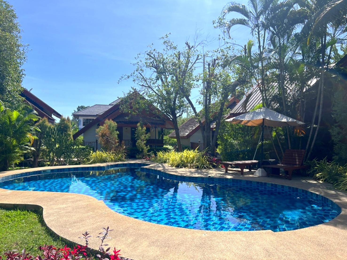 swimming pool [outdoor]