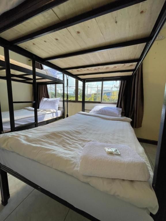 Bunk Bed in Mixed Dormitory Room