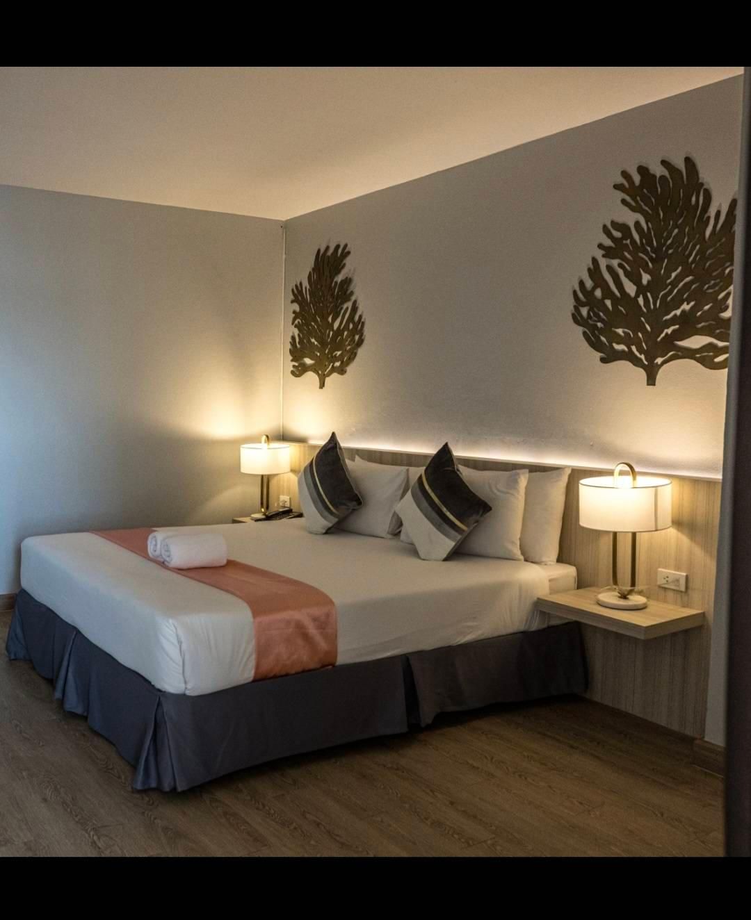 City View Suite