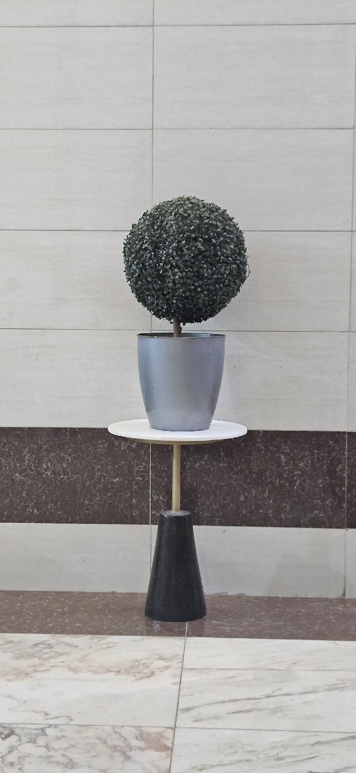 acb02da2d3229b4054069ea0841beadc