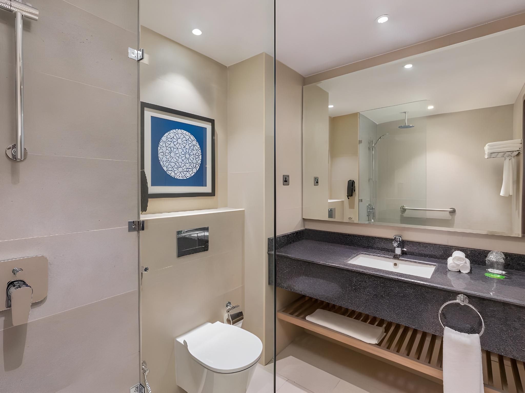 Holiday Inn & Suites Al Jubail By IHG 1 King Premium Courtyard View 3