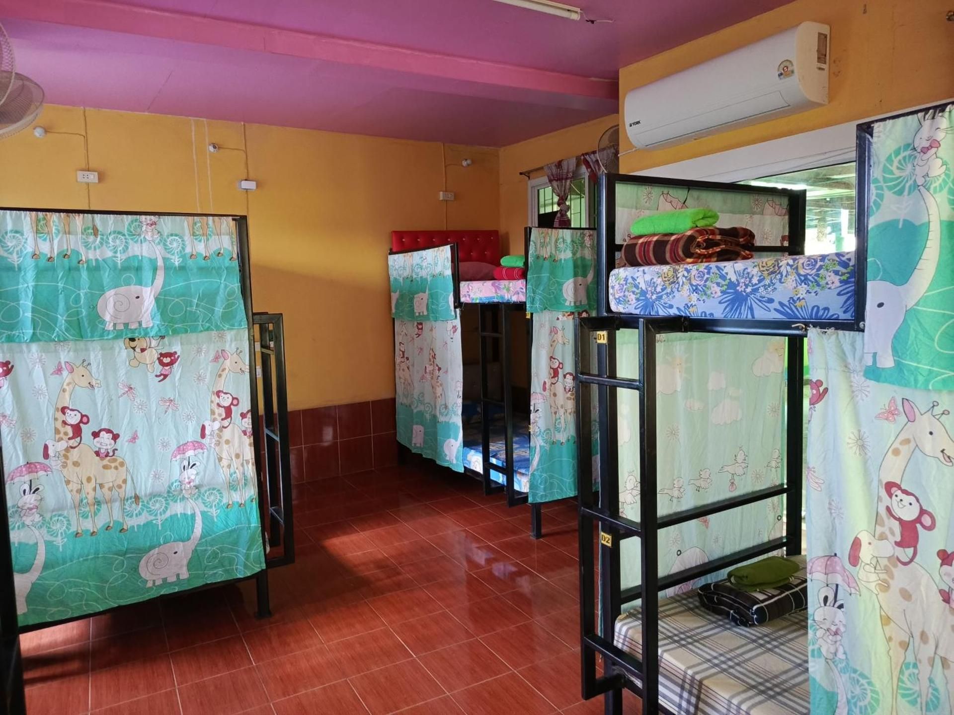 Bunk Bed in Mixed Dormitory Room