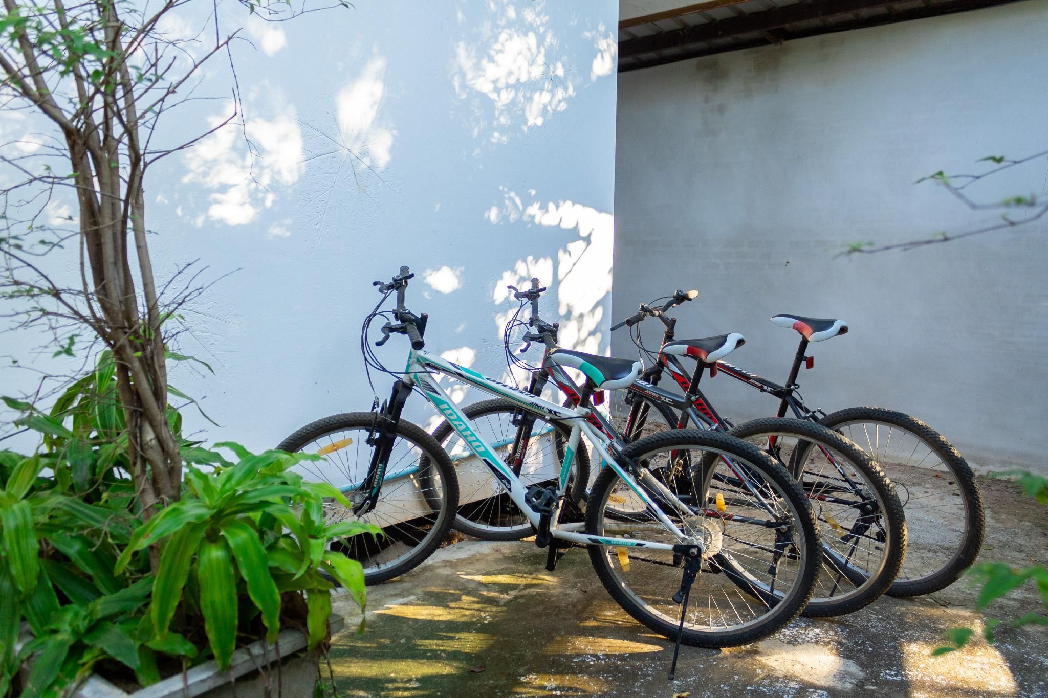 sports and activities