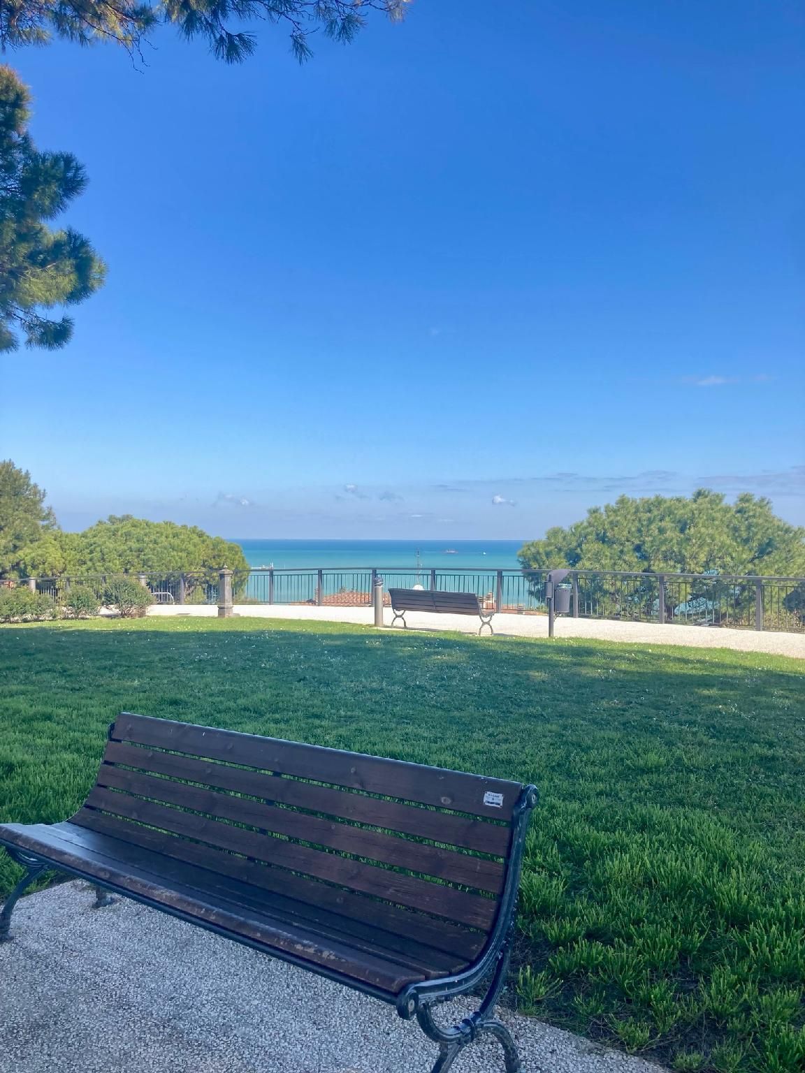 surrounding environment