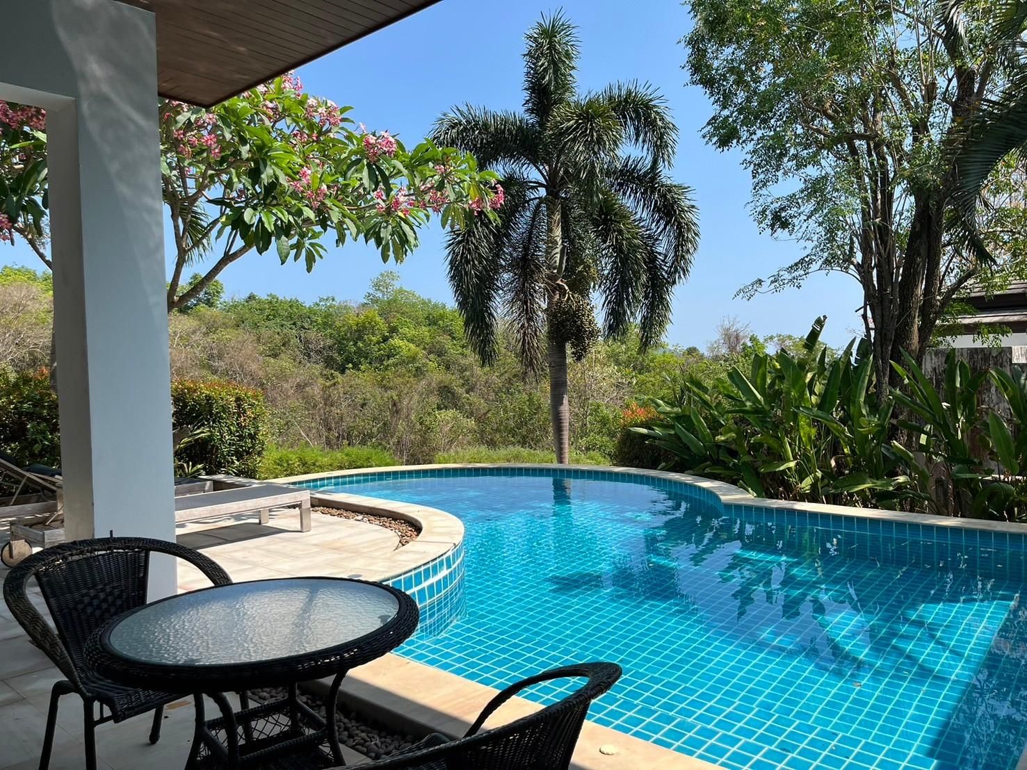 swimming pool [outdoor]