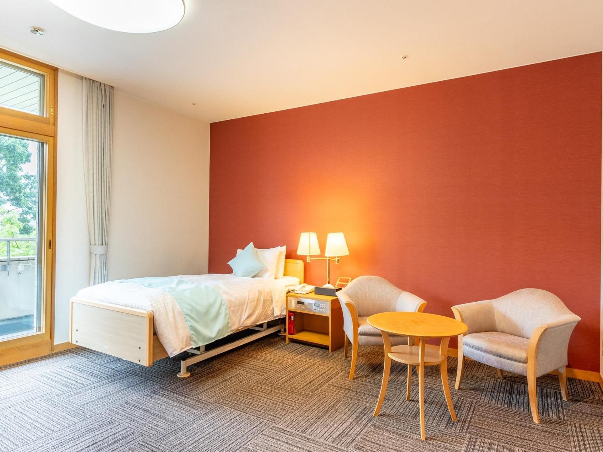 Single Room with Disability Access - Non-Smoking