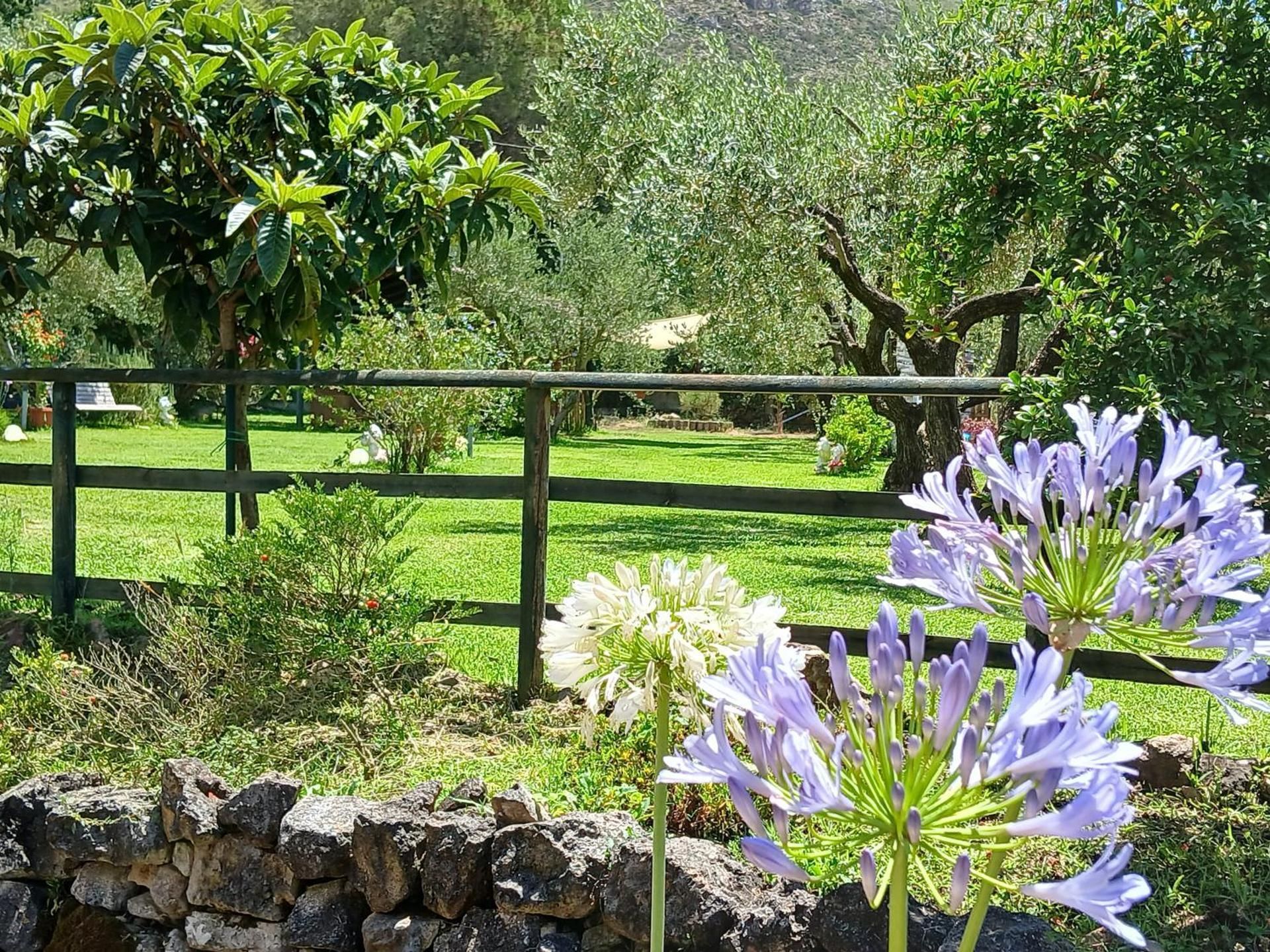 Bed and Breakfast della Regina...