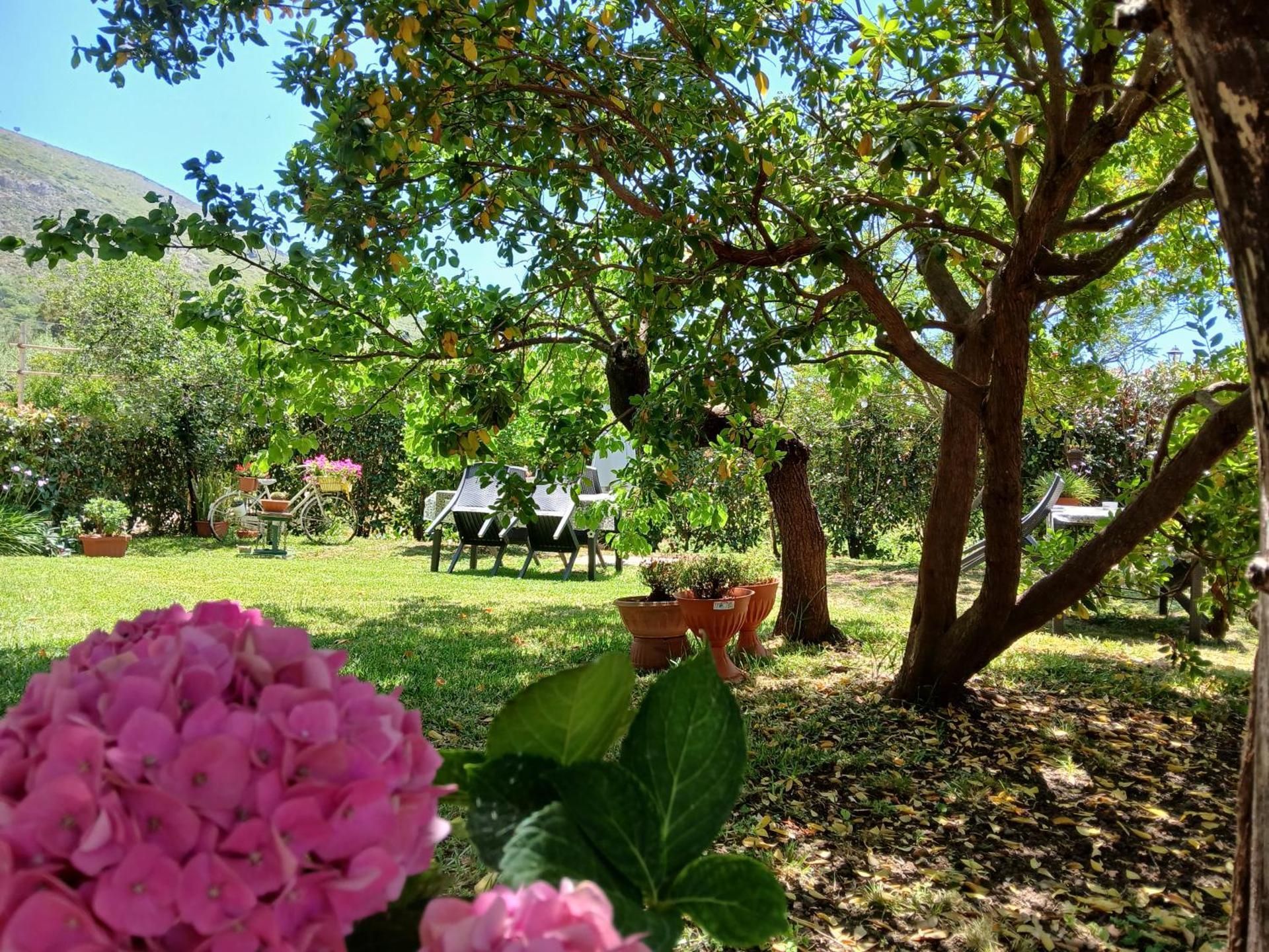 Bed and Breakfast della Regina...