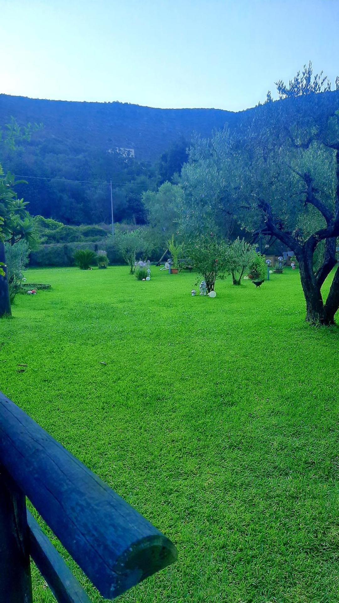 Bed and Breakfast della Regina...