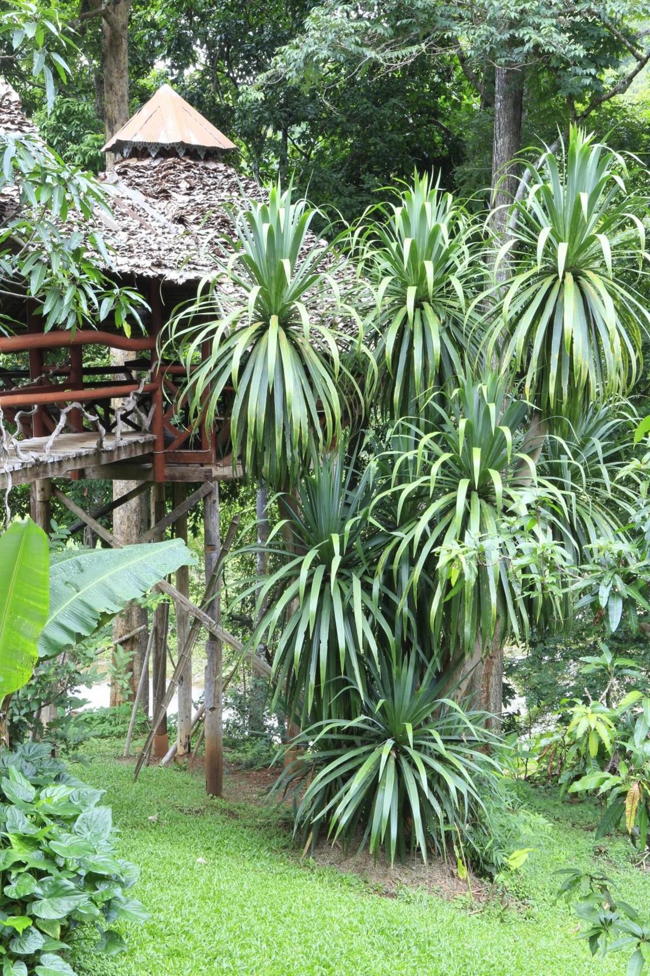 Cave Lodge