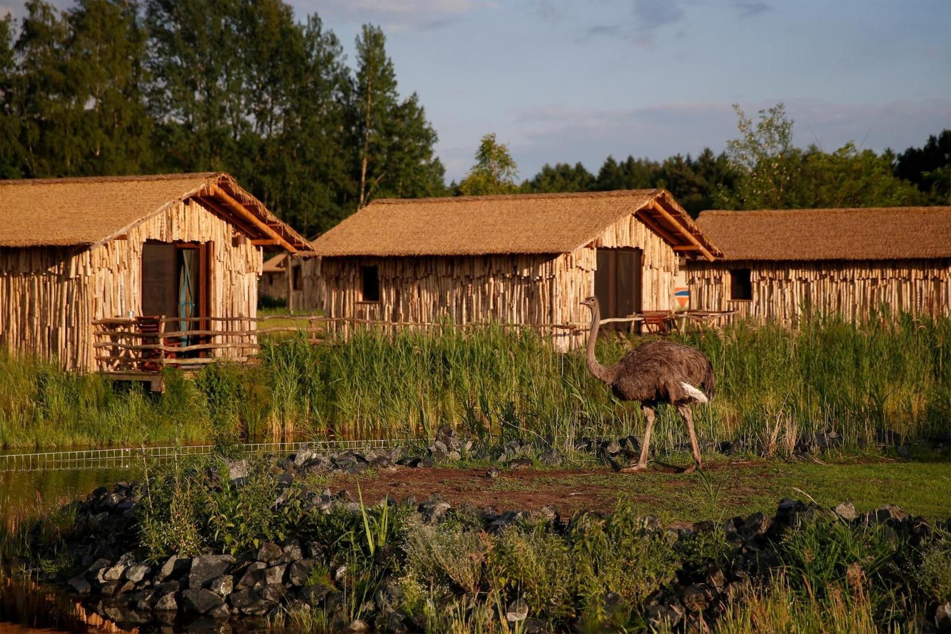 Masai Mara Lodge (excl. park entrance fee) 