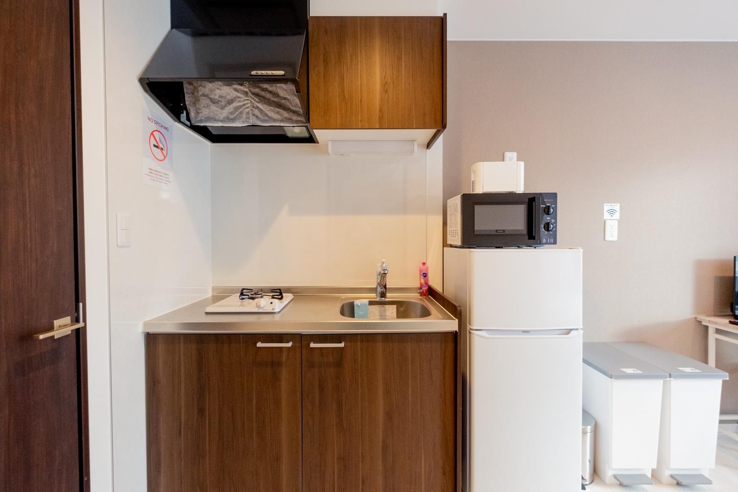 Niseko Hirafu Ski Resort Condo Standard Room 2