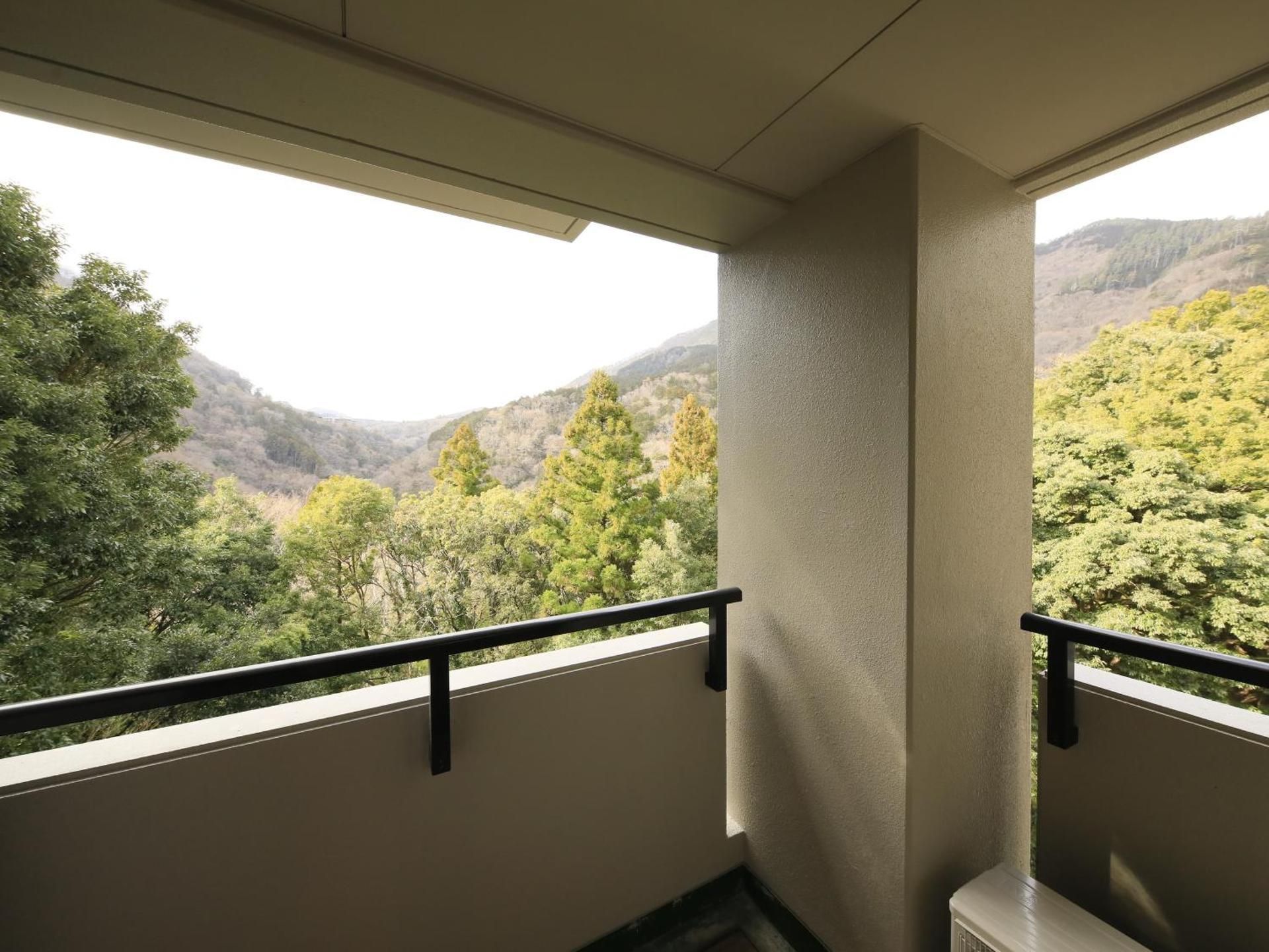 Single Room with Balcony