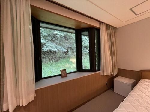 Double or Twin Room with Mountain View