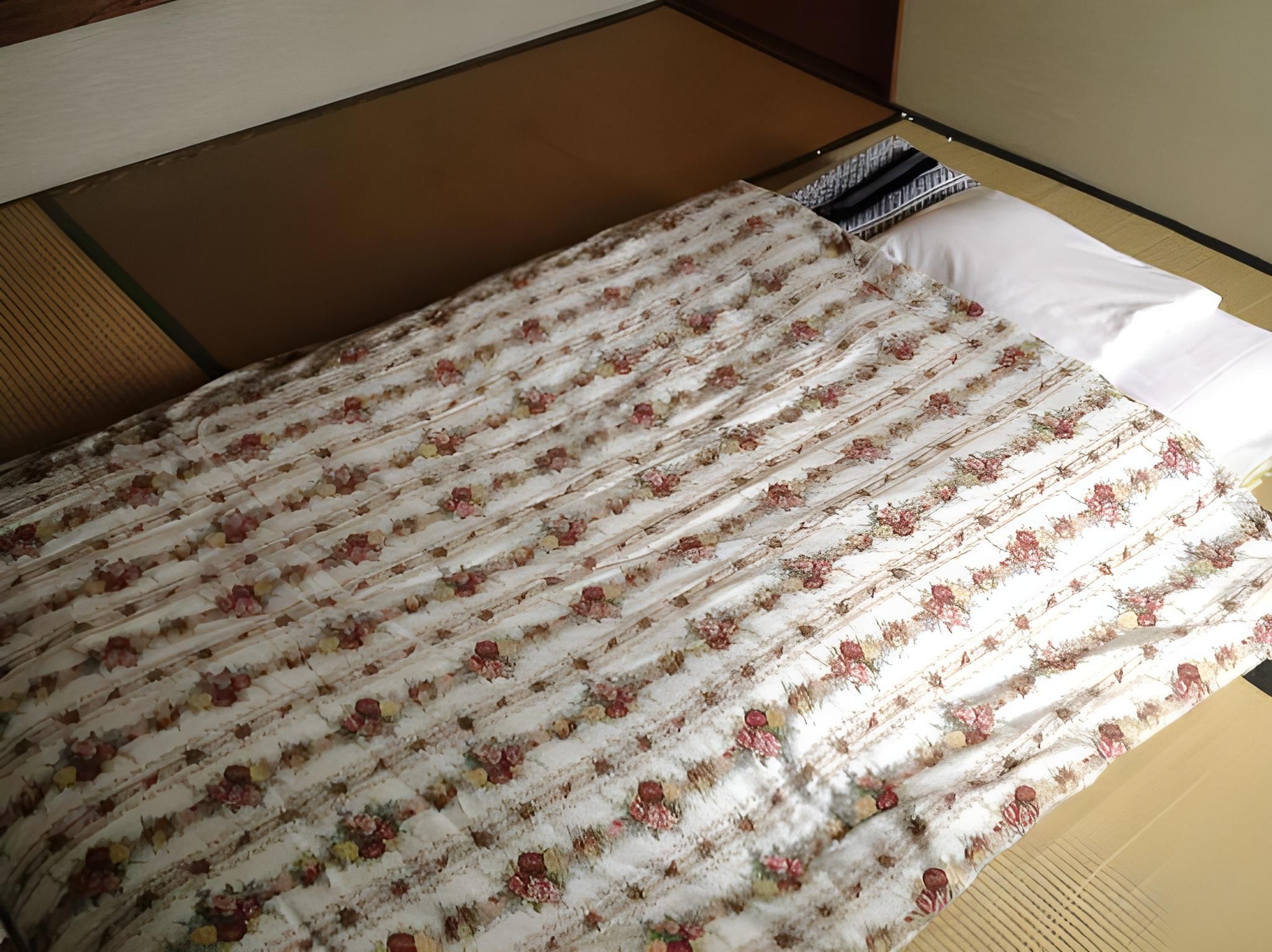 Japanese-Style Single Room with Shared Bathroom