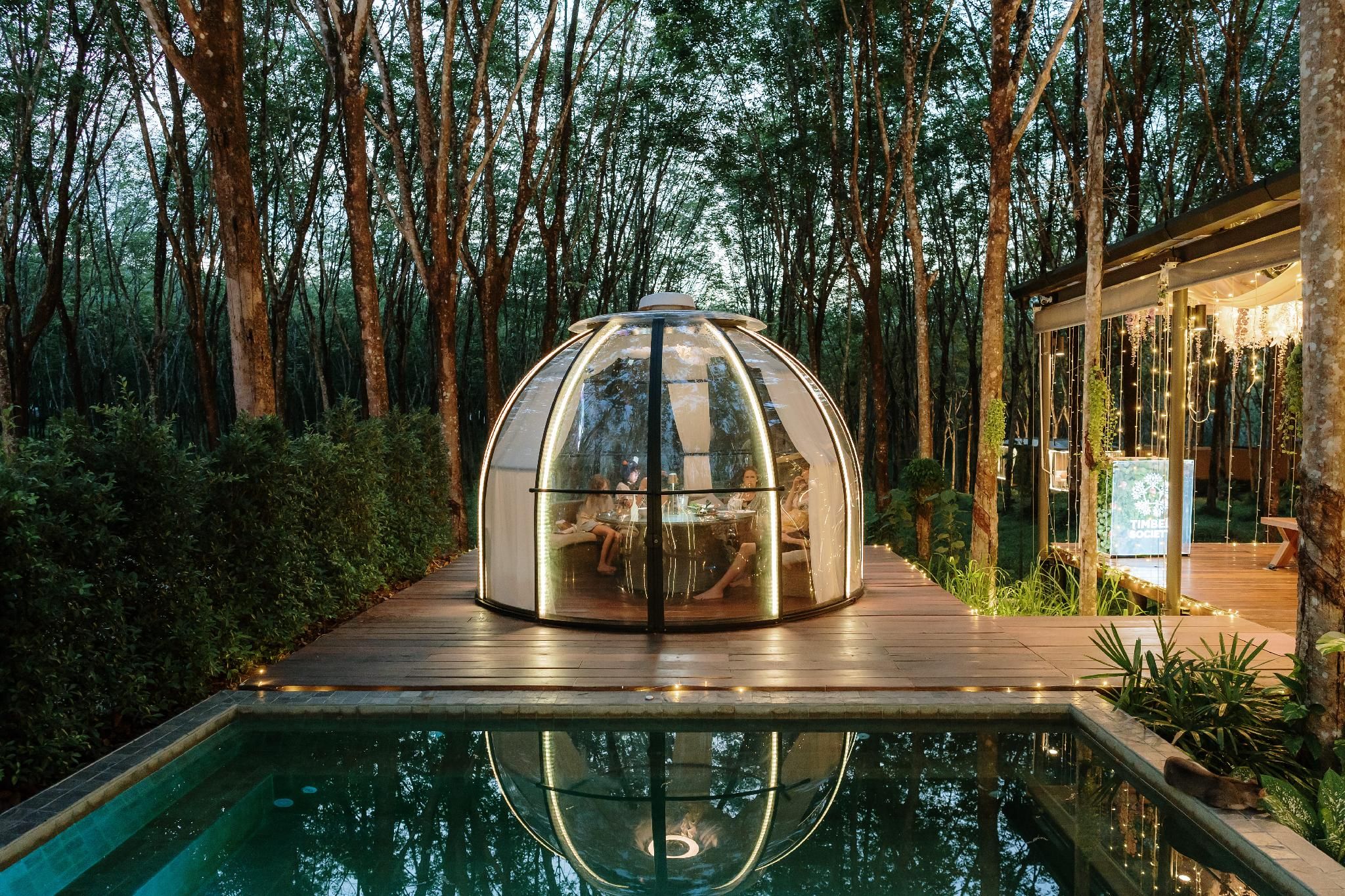 swimming pool [outdoor]