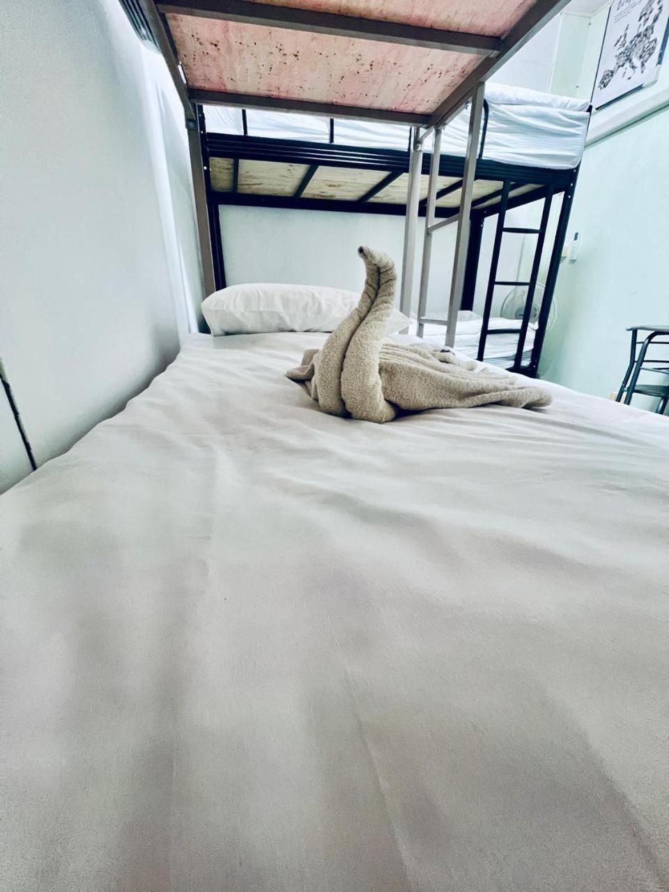 Bed in 4-Bed Dormitory Room