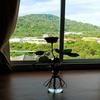 Payton House Patong - Newly Renovated