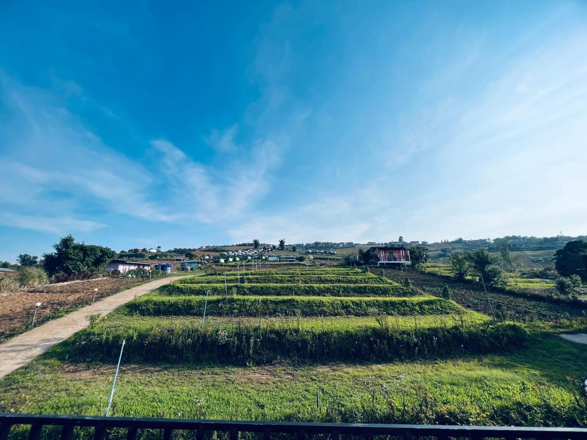 surrounding environment