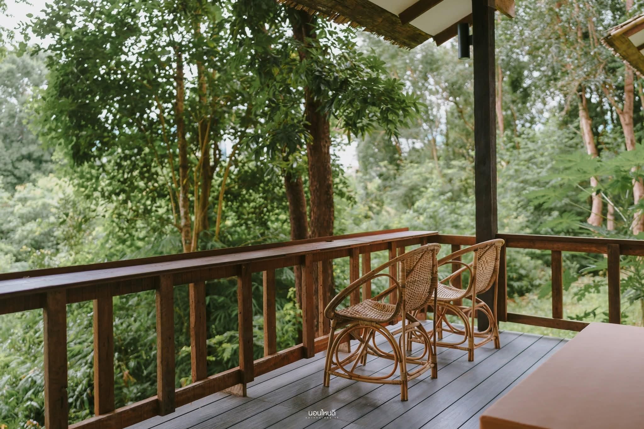 Forest House