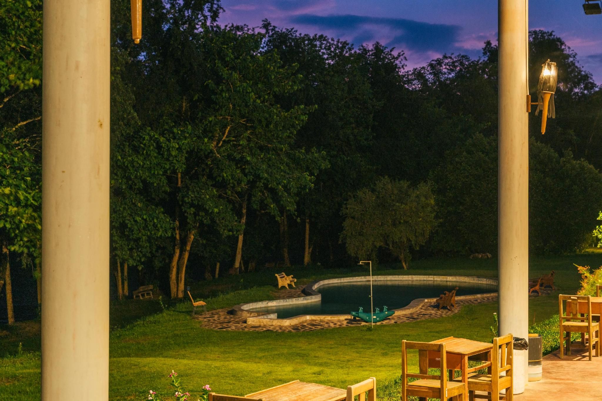 swimming pool [outdoor]