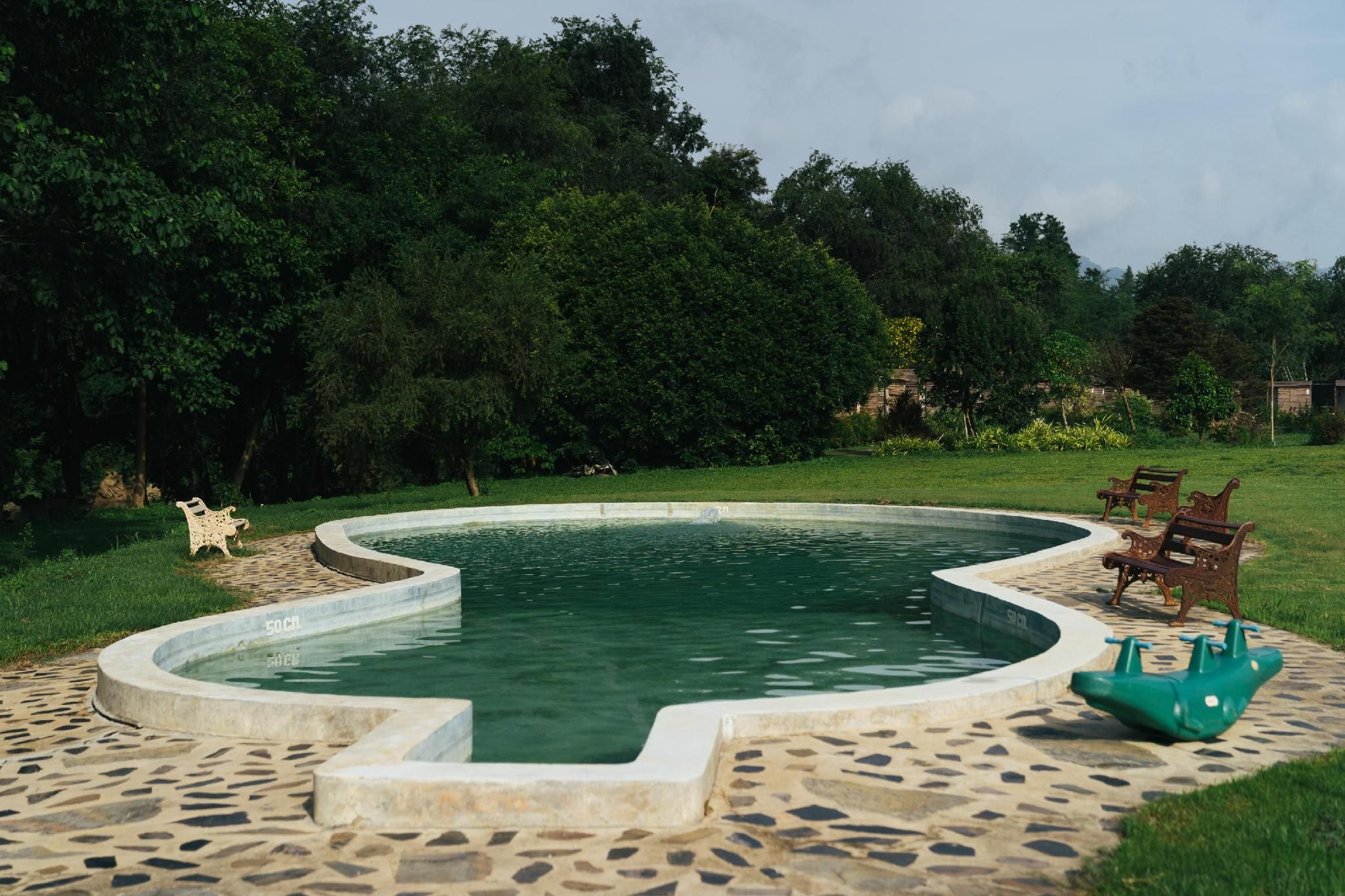 swimming pool [outdoor]