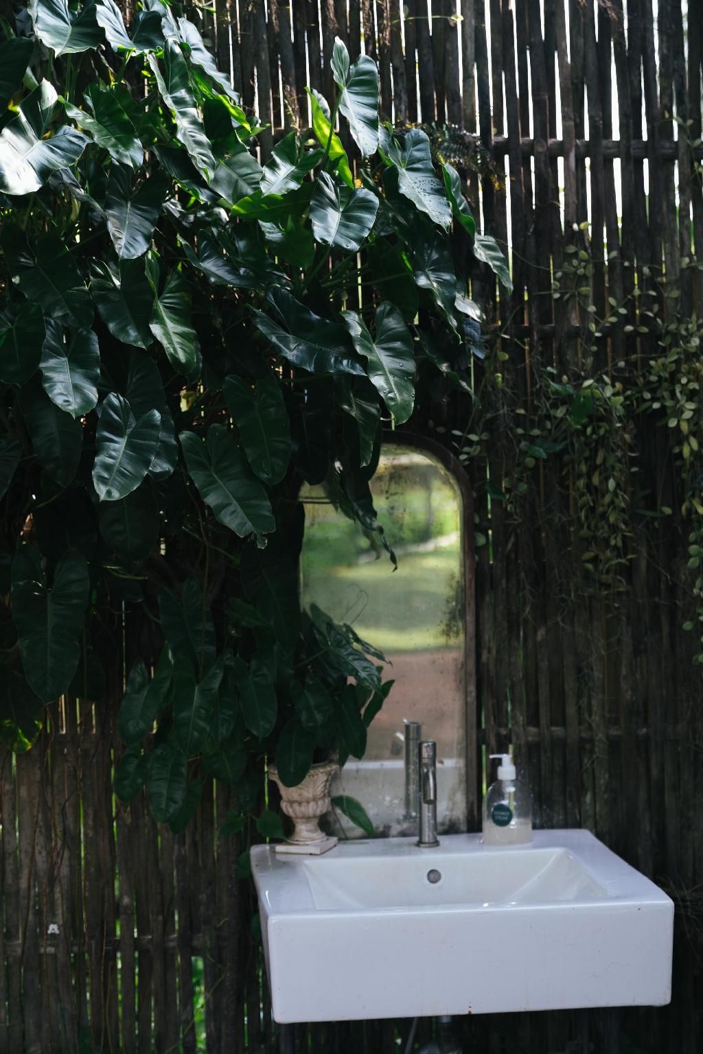 surrounding environment