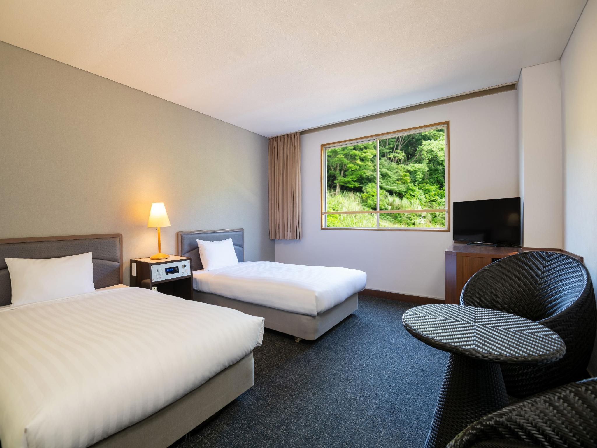Twin Room - Non Smoking