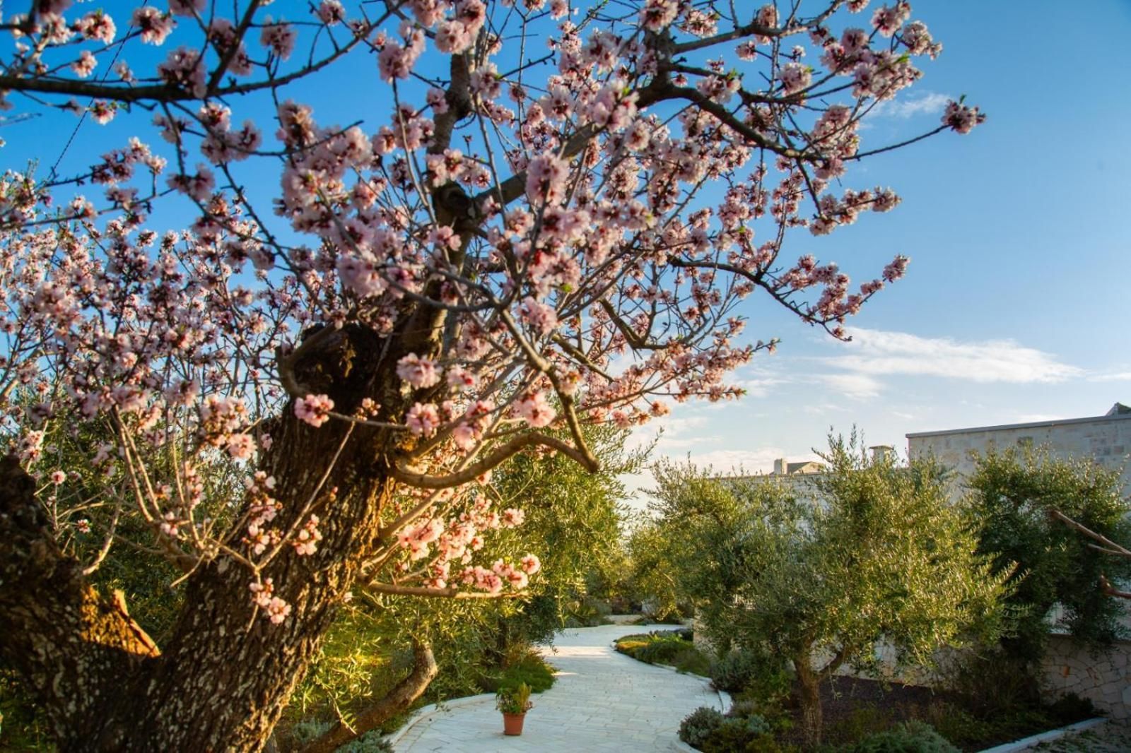 Trullo dei maestri