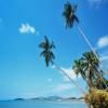 Little Stay Bophut - Samui