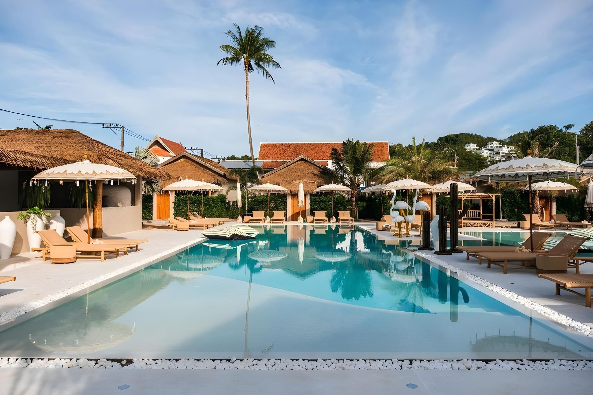 244559d9b3a6fafecf0984fe8bebb1b2