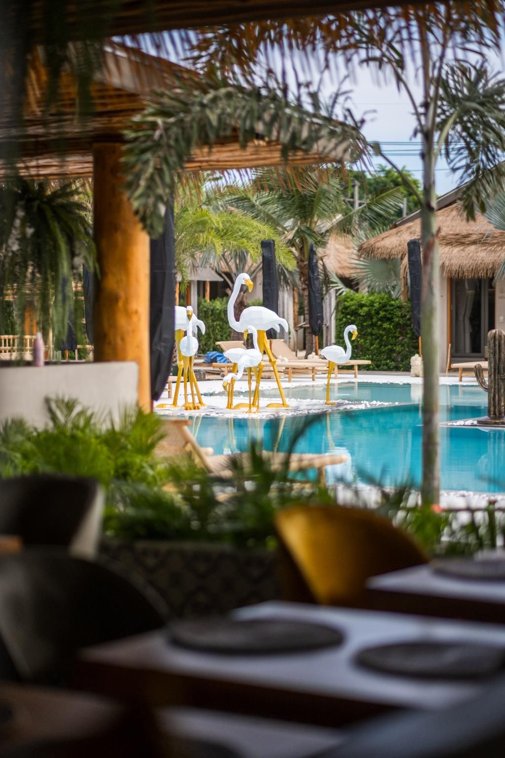 swimming pool [outdoor]