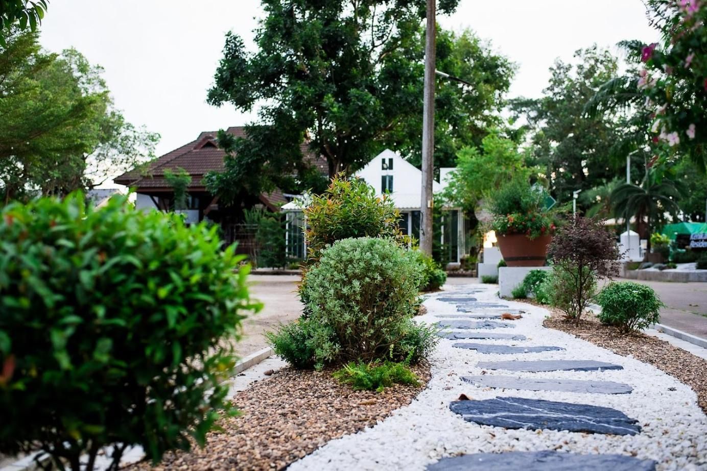 sports and activities