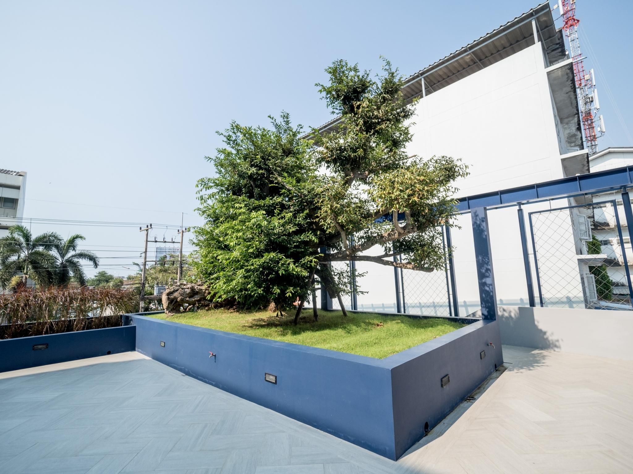 surrounding environment