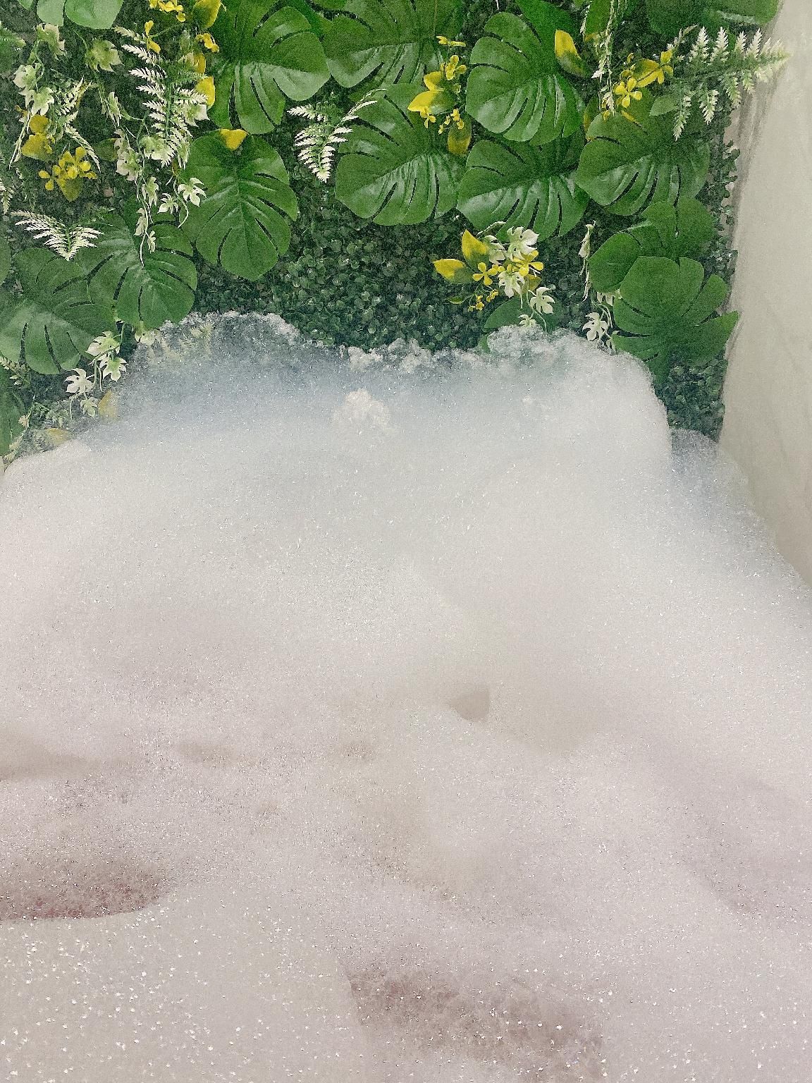 a6faf548bf3e35a0fbbb88d4f75a507b