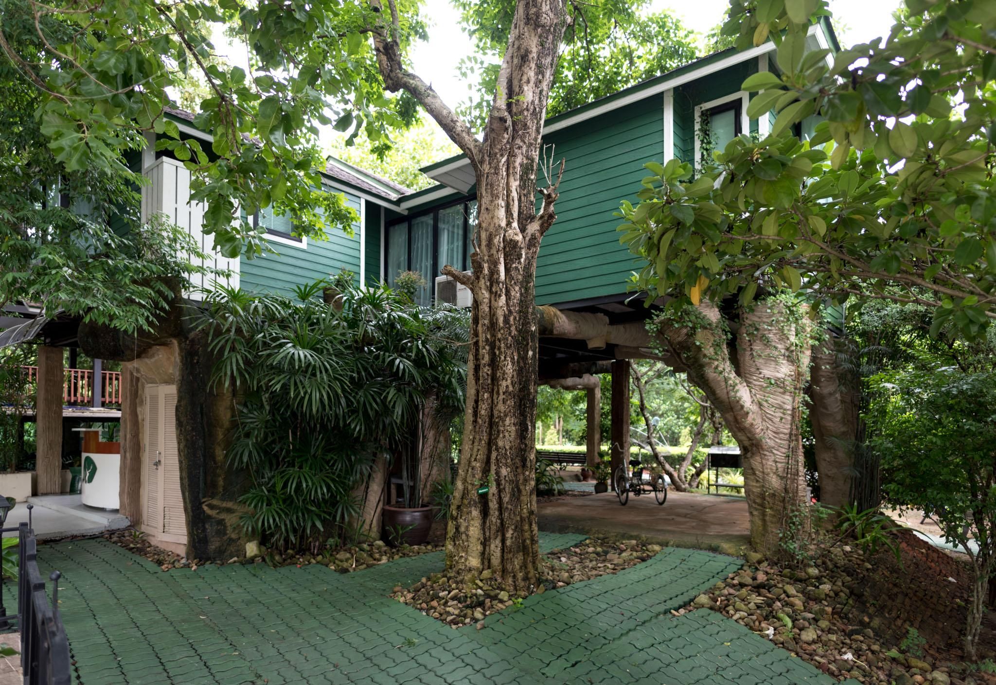 surrounding environment