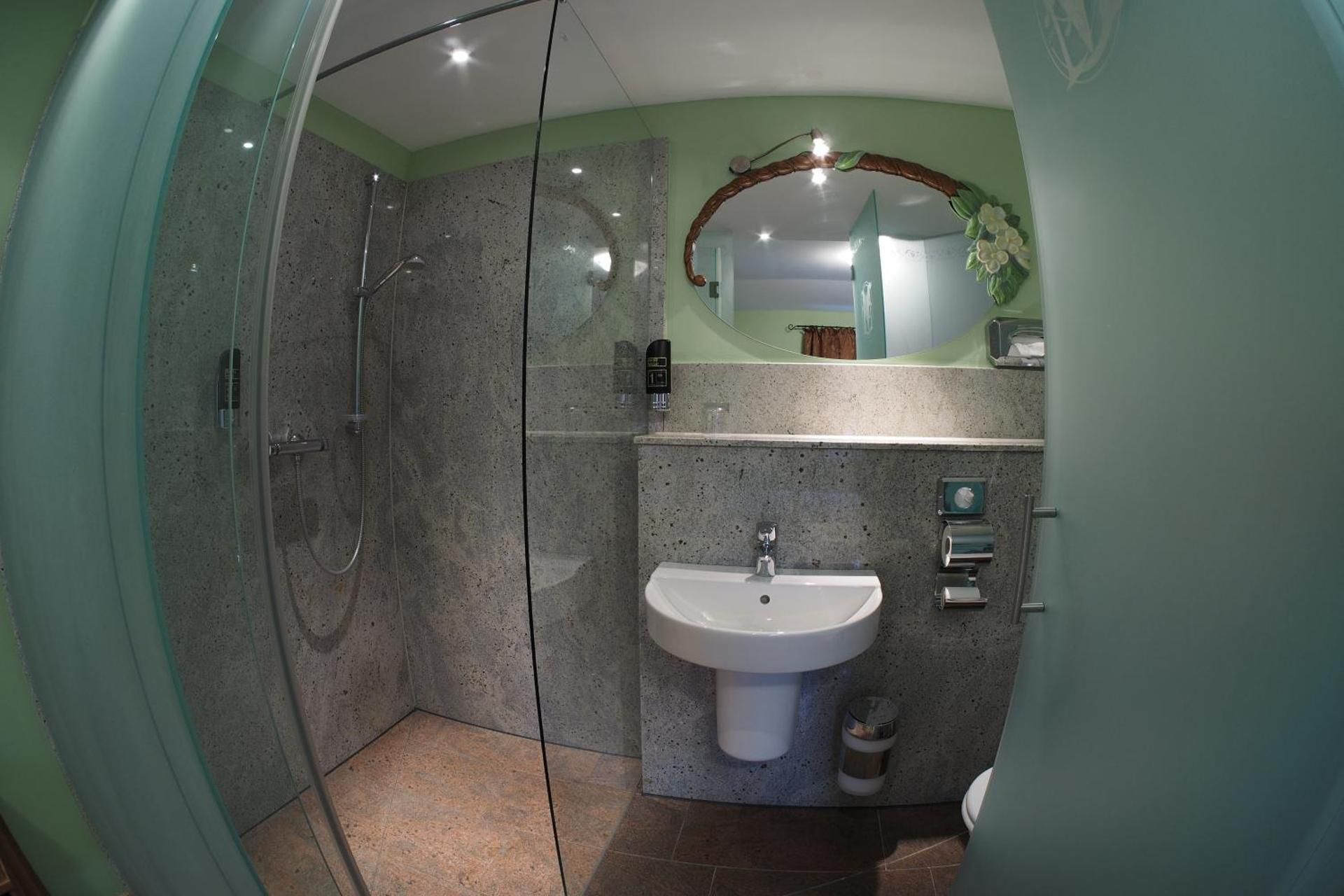 Large Single Room