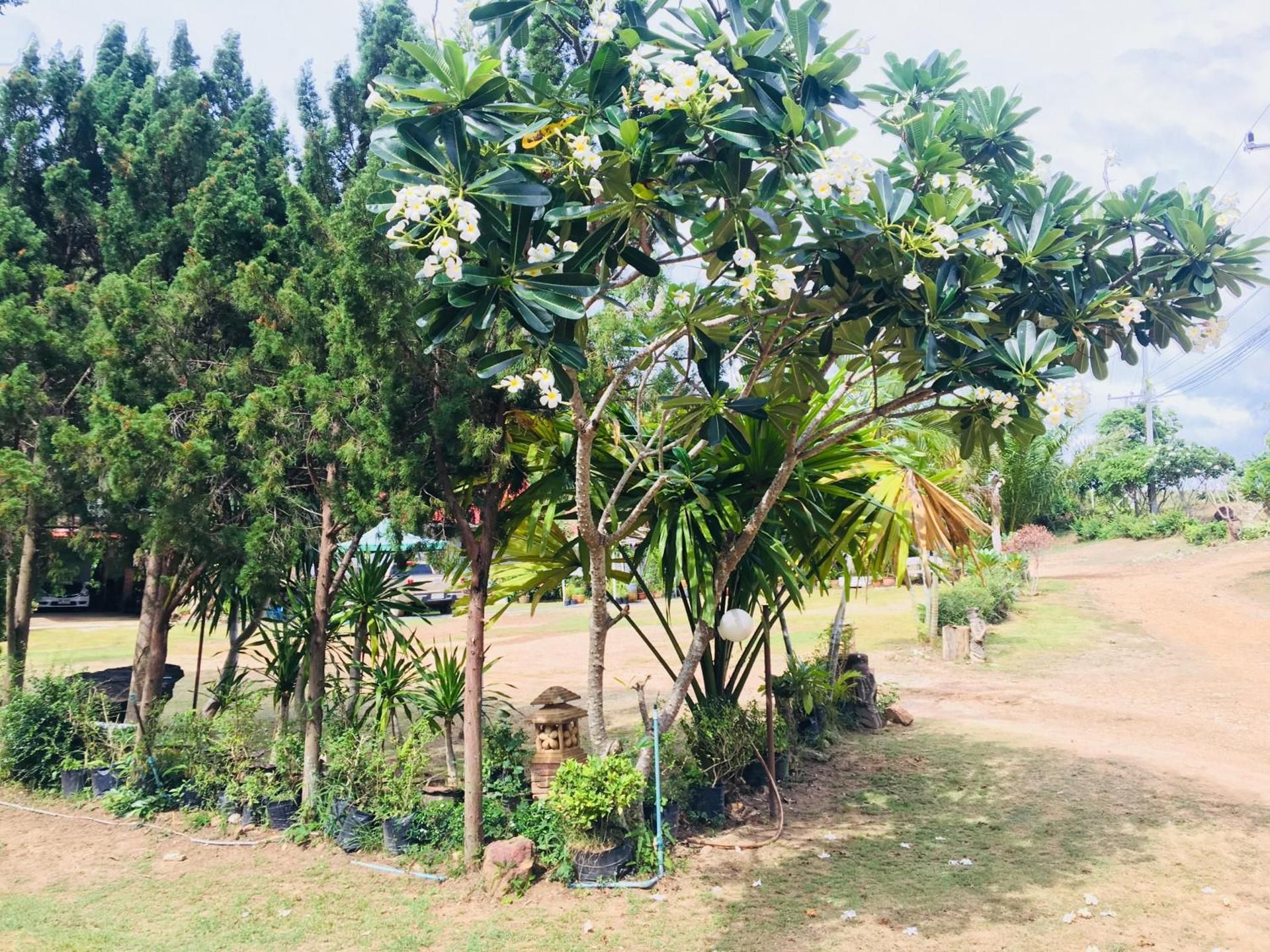 surrounding environment