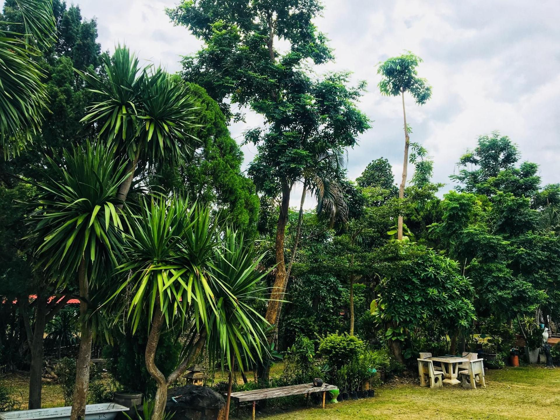 surrounding environment