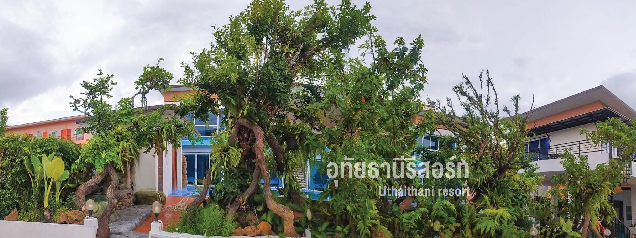 surrounding environment