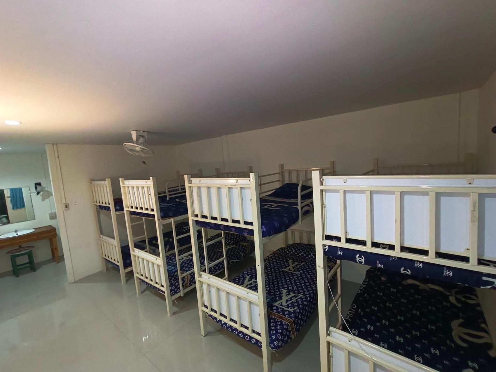Bunk Bed in Mixed Dormitory Room