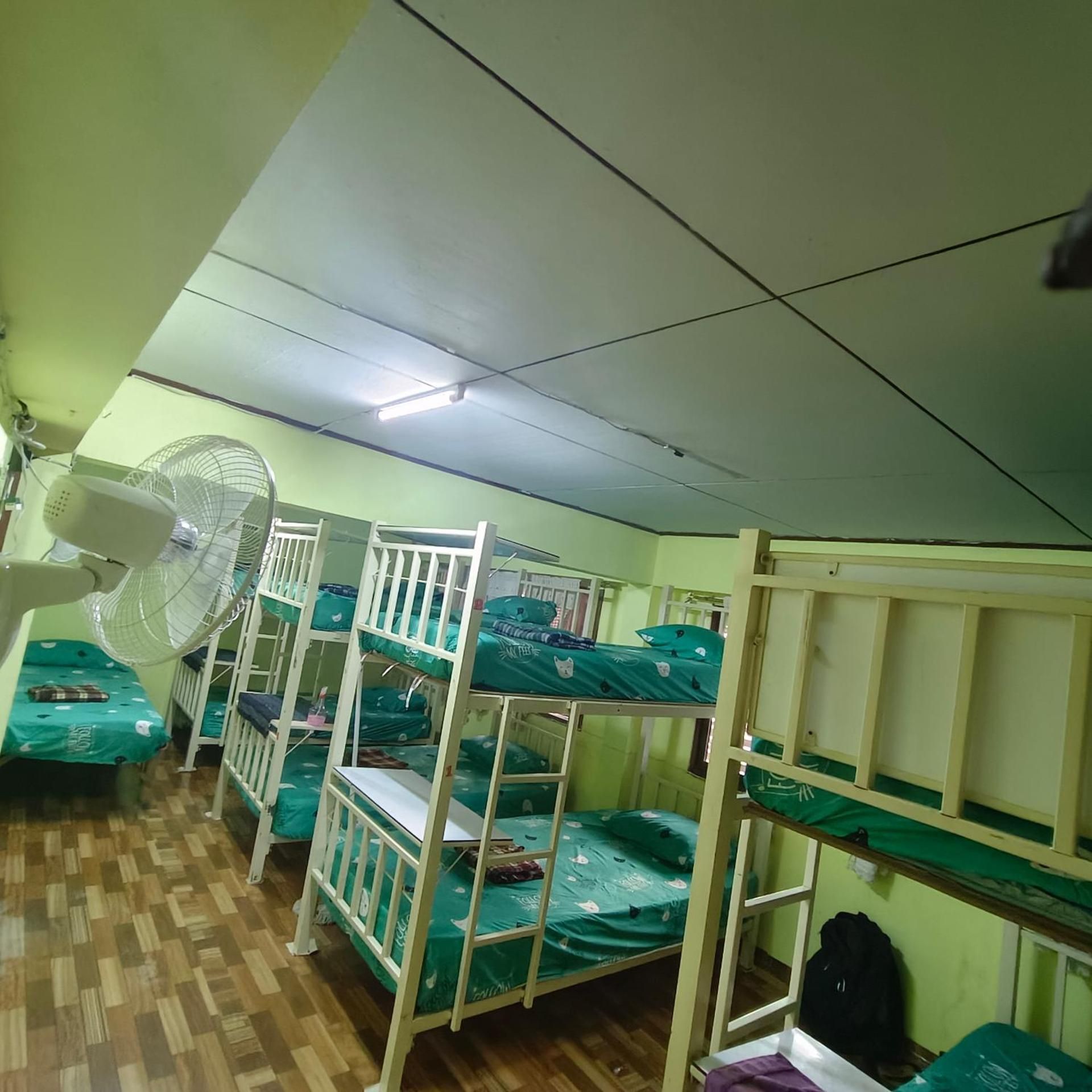 Single Bed in 10-Bed Dormitory Room