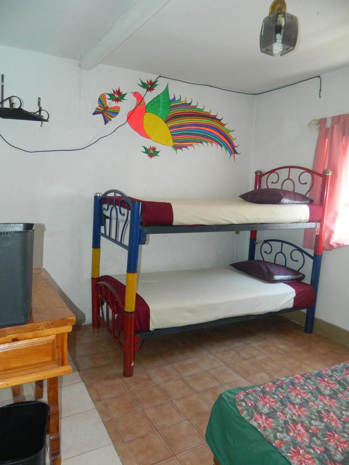 Economy Quadruple Room with Shared Bathroom