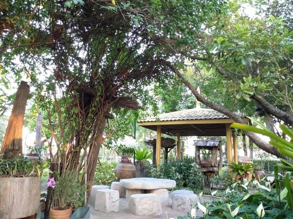 surrounding environment