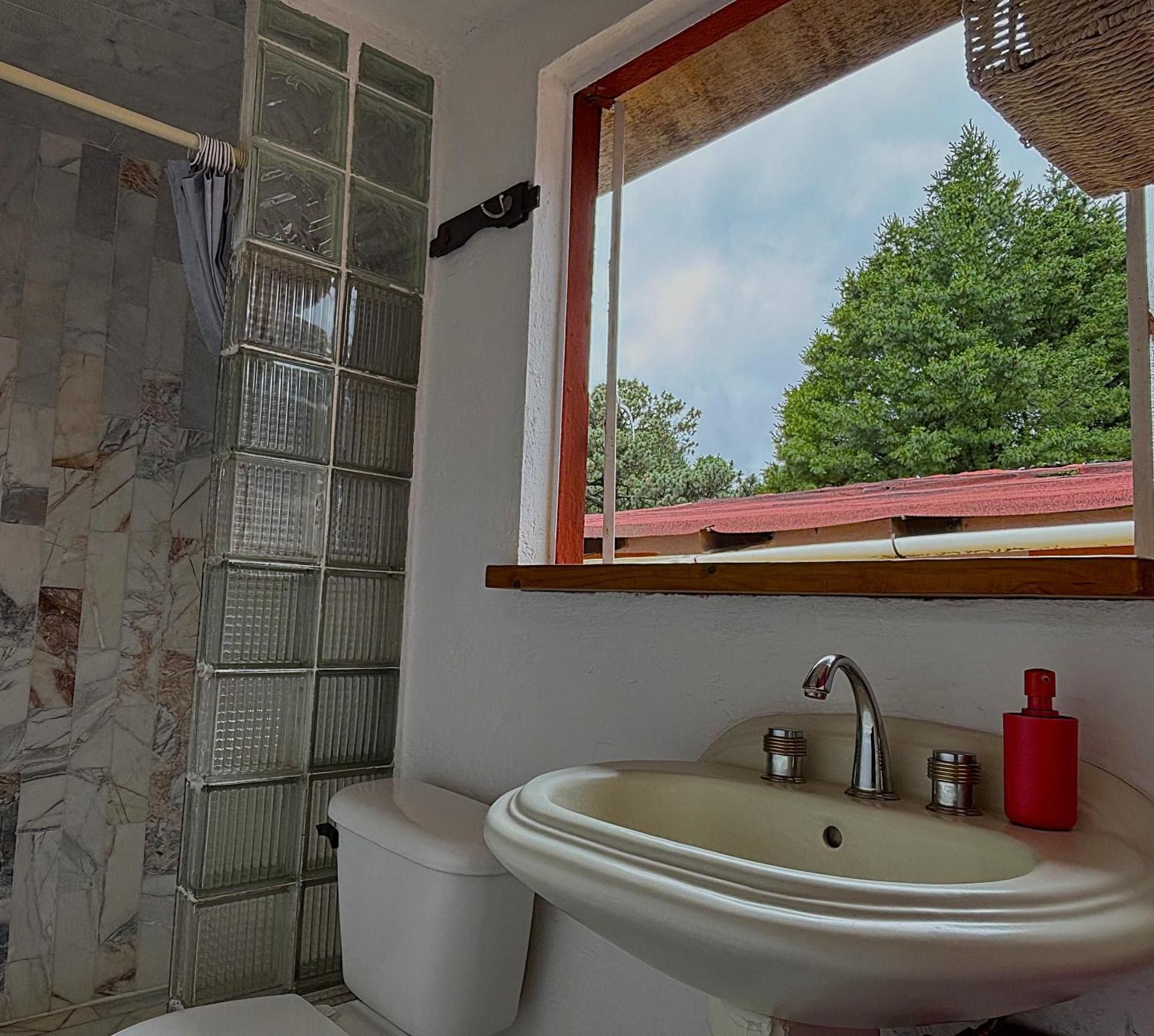 Quadruple Room with Garden View
