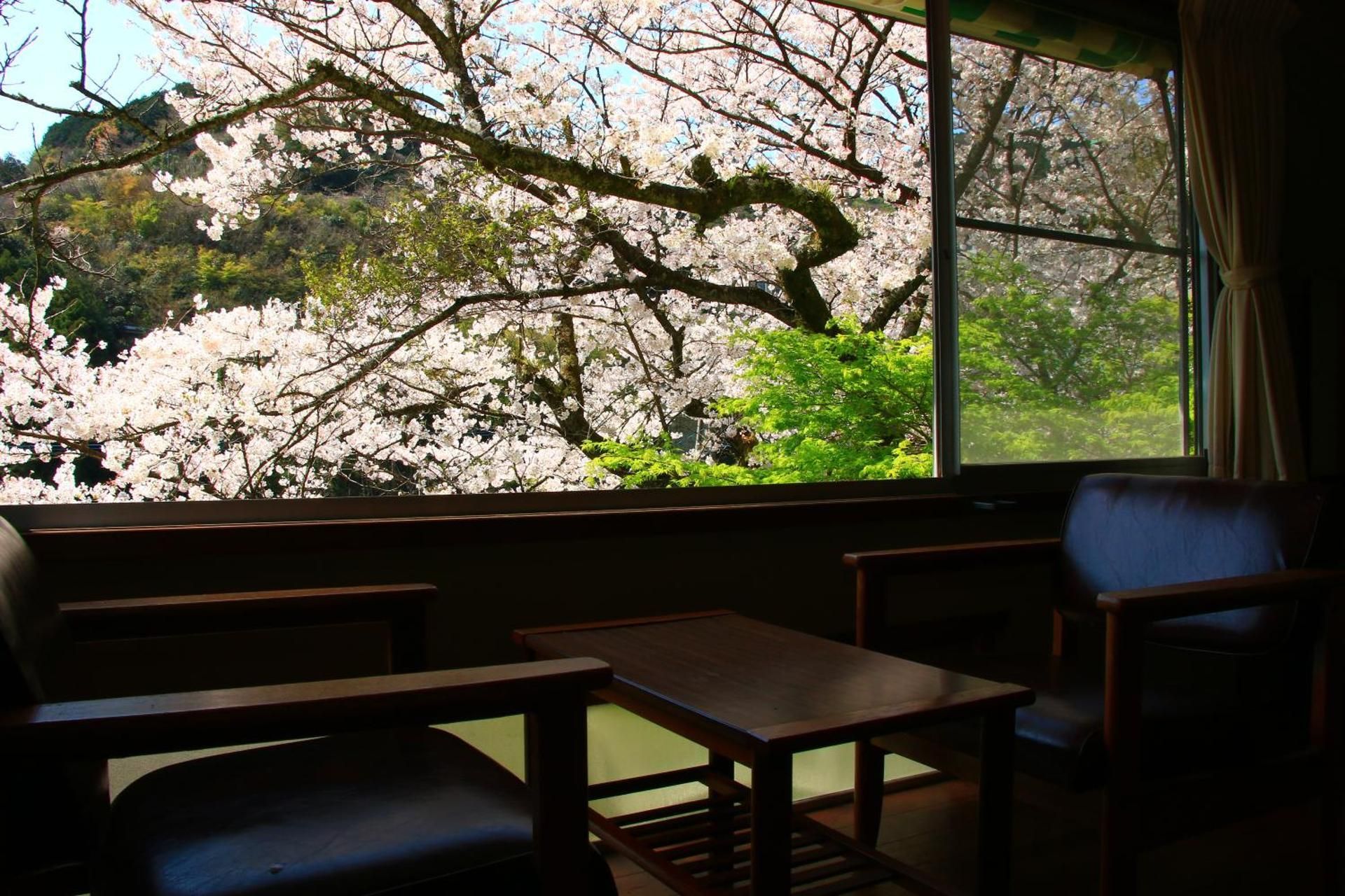 Japanese-Style Room