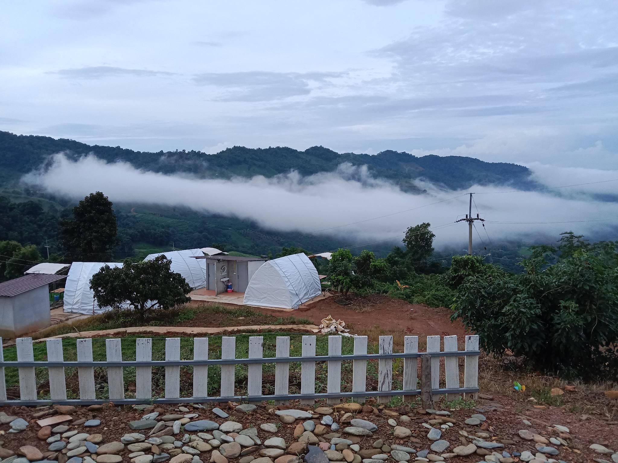 6e33f65b51cc87aa02a796e977f697ba