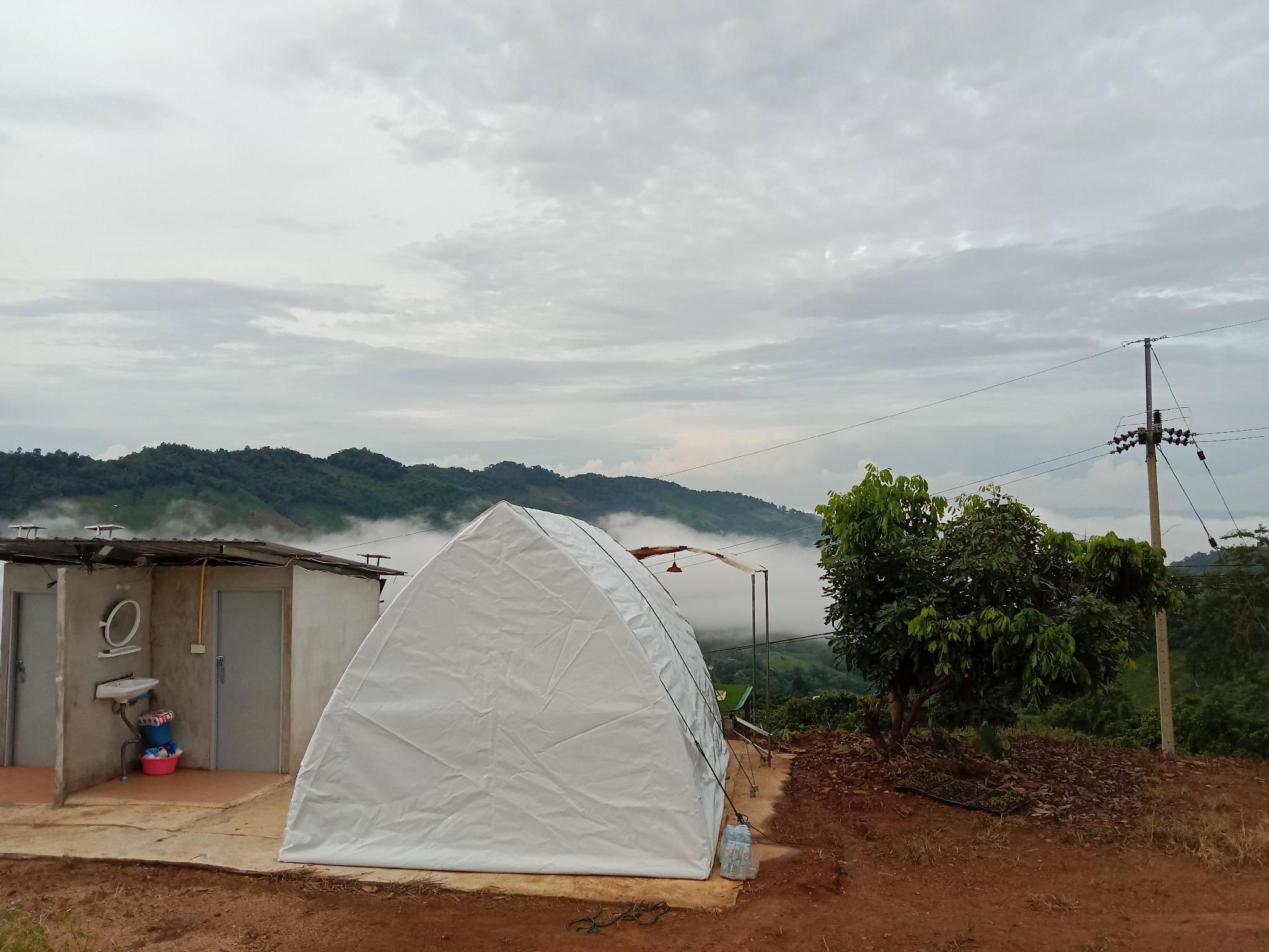 Family Twin Ocean View